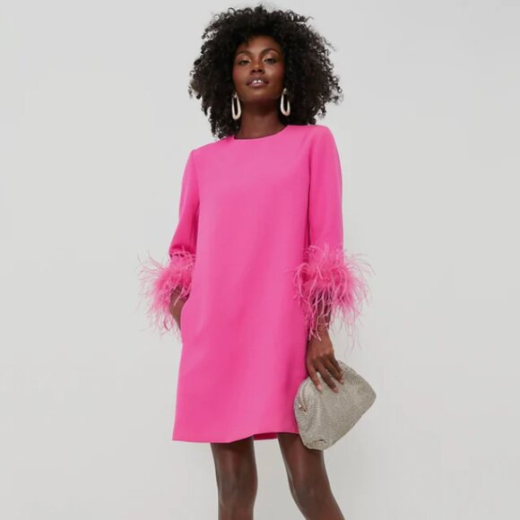 Tuckernuck Dresses & Skirts - Tuckernuck Hot Pink Feather Mod Mary Dress